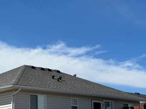 Best Green or Eco-Friendly Roofing Solutions  in St Croix Falls, WI